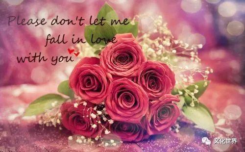 幸运玫瑰，周先生超宠我