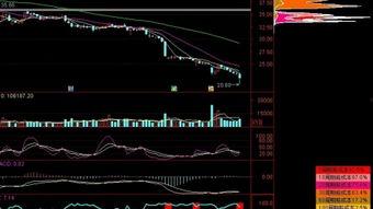 全力反弹,逆境中的崛起之路